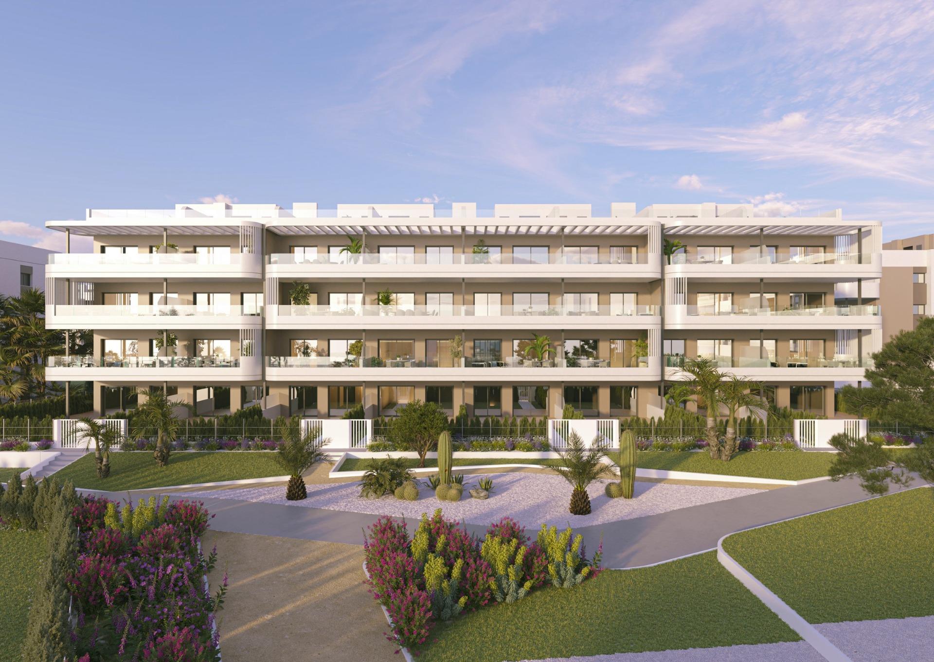 apartment-in-torrevieja-n9396-torrevieja-13 apartment torrevieja