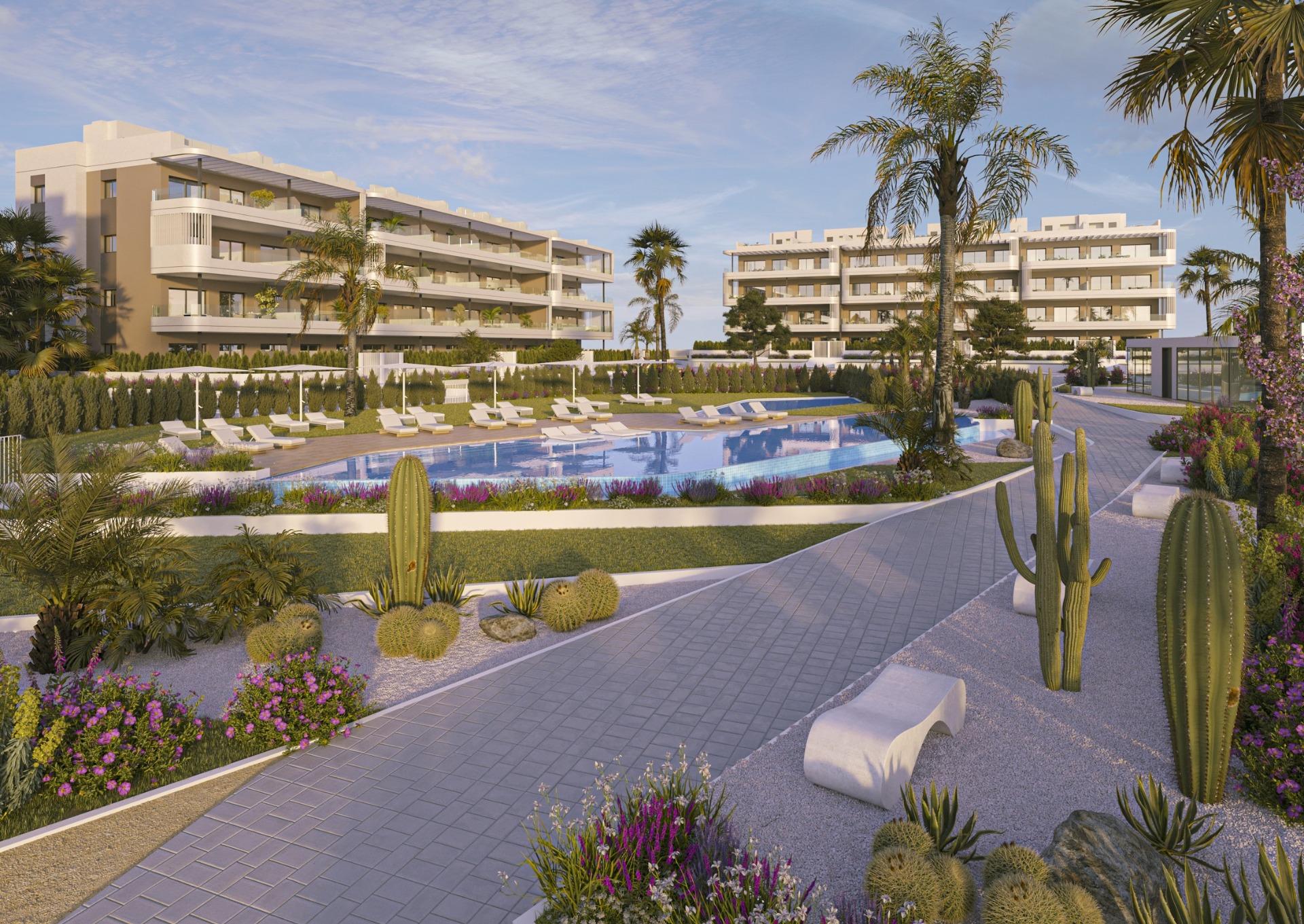 apartment-in-torrevieja-n9398-torrevieja-02 apartment torrevieja