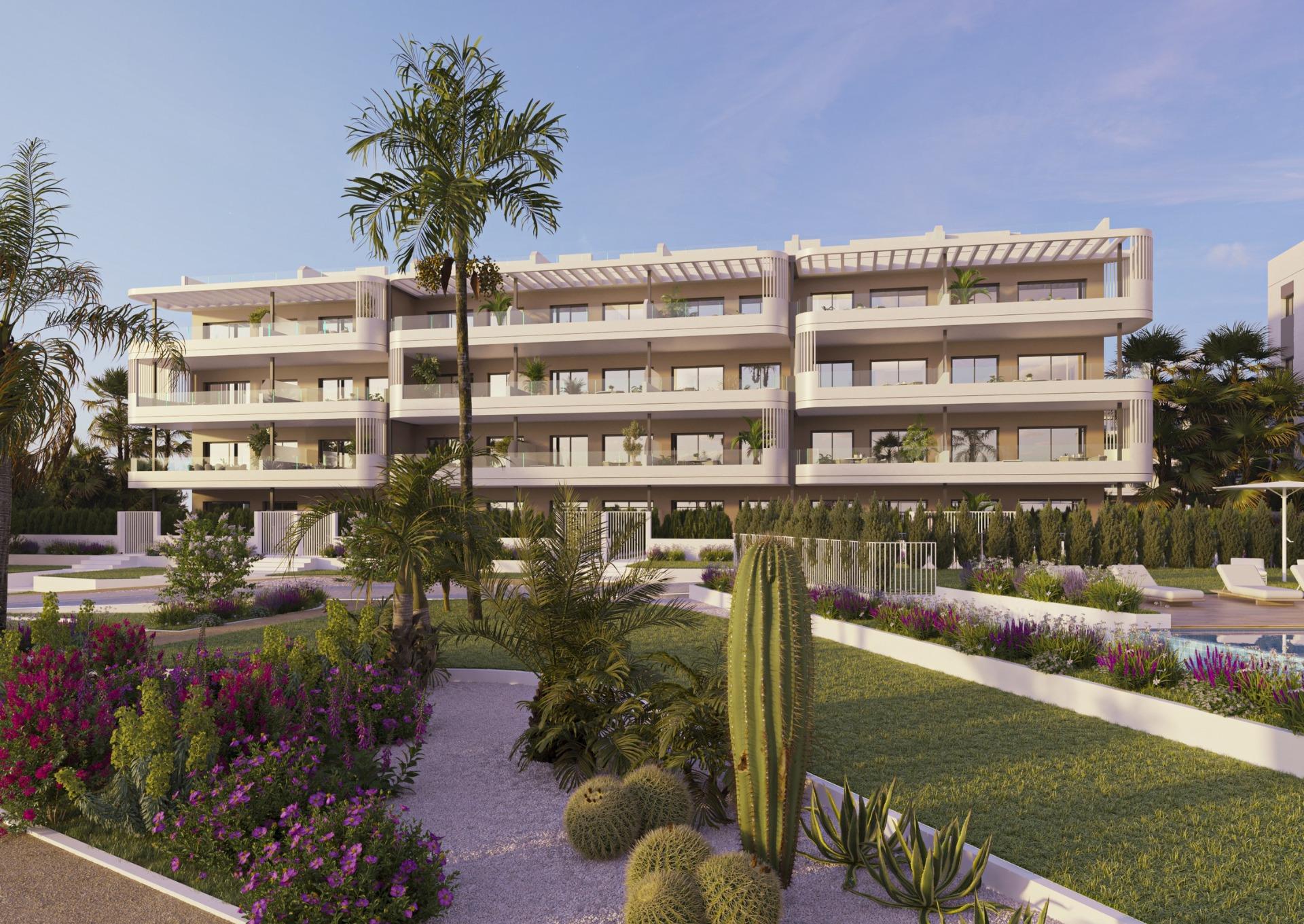 apartment-in-torrevieja-n9398-torrevieja-04 apartment torrevieja
