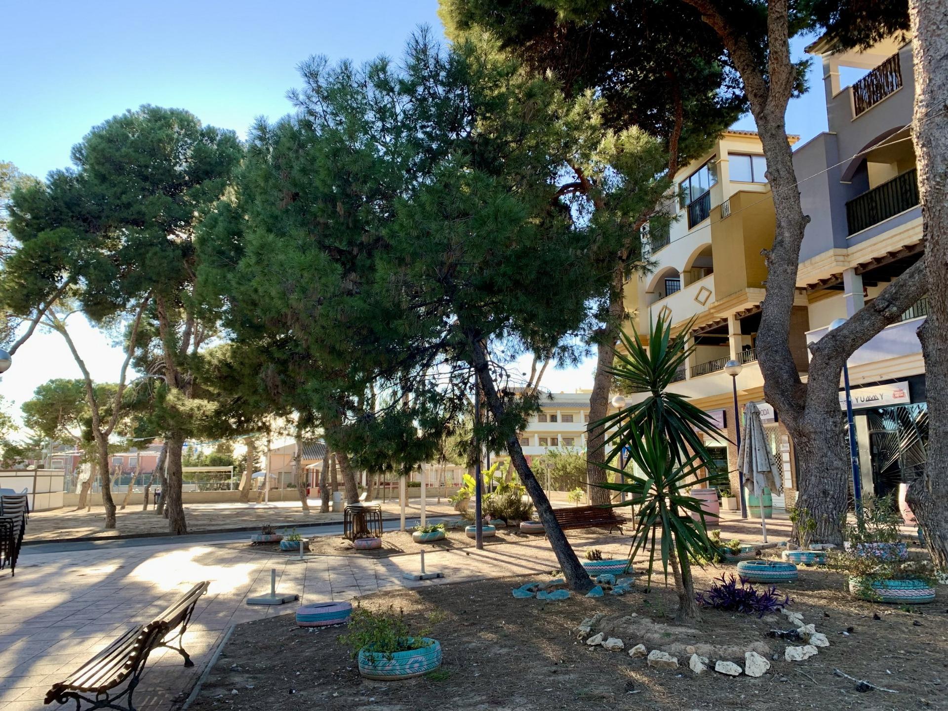 bungalow-in-san-javier-n8373-san-javier-32 bungalow san javier