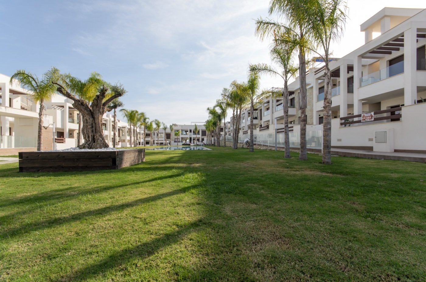 bungalow-en-torrevieja-n6471-torrevieja-29 bungalow torrevieja