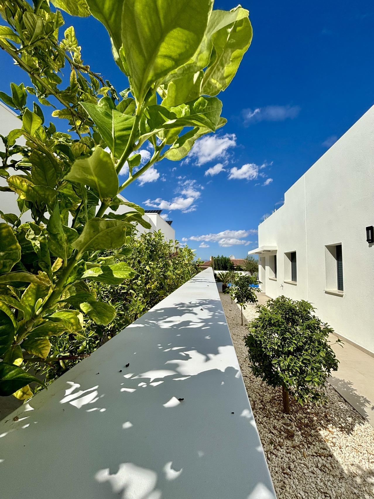 new-mediterranean-villas-in-benijofar-benijofar-06