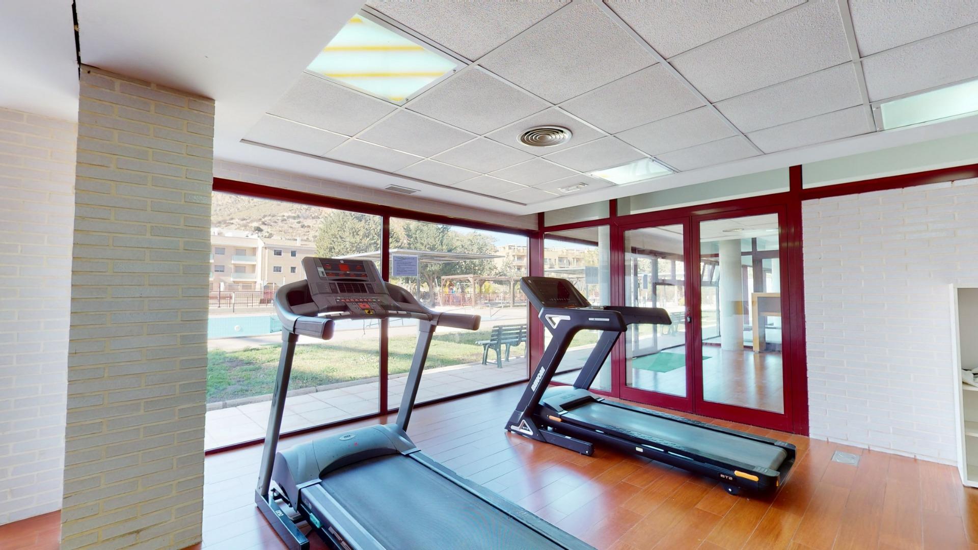 penthouse-in-archena-n7236-archena-25 penthouse archena