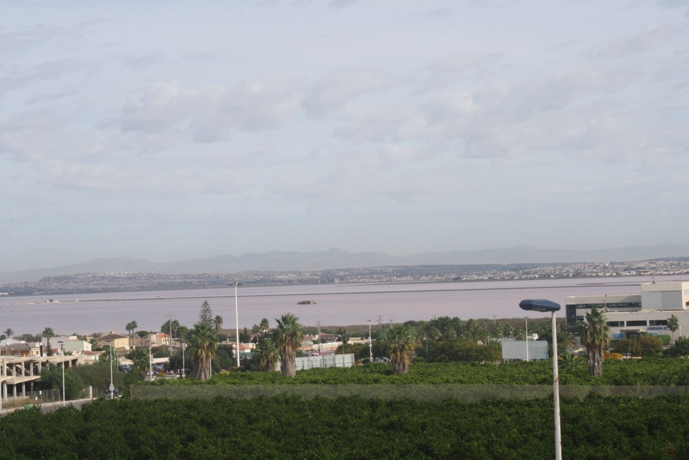 stadthaus-in-torrevieja-n6289-torrevieja-26 stadthaus torrevieja
