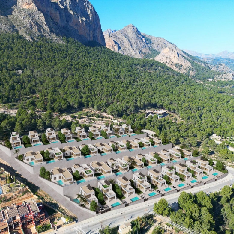 780