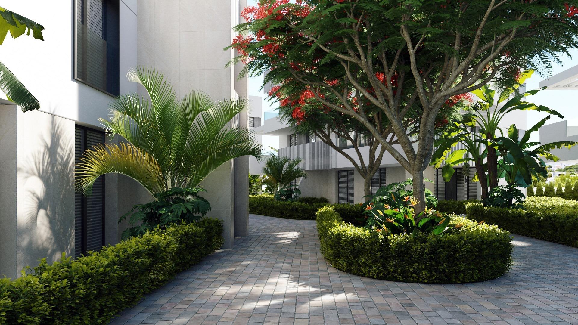 penthouse-in-torre-pacheco-n6657-torre-pacheco-04 penthouse torre pacheco