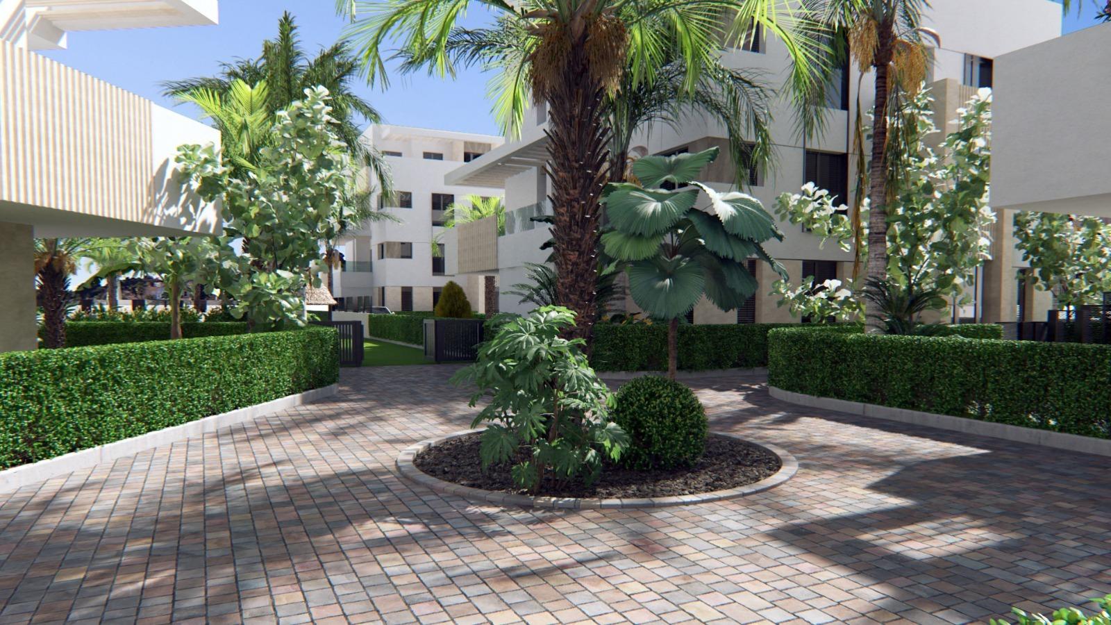 penthouse-in-torre-pacheco-n6657-torre-pacheco-05 penthouse torre pacheco