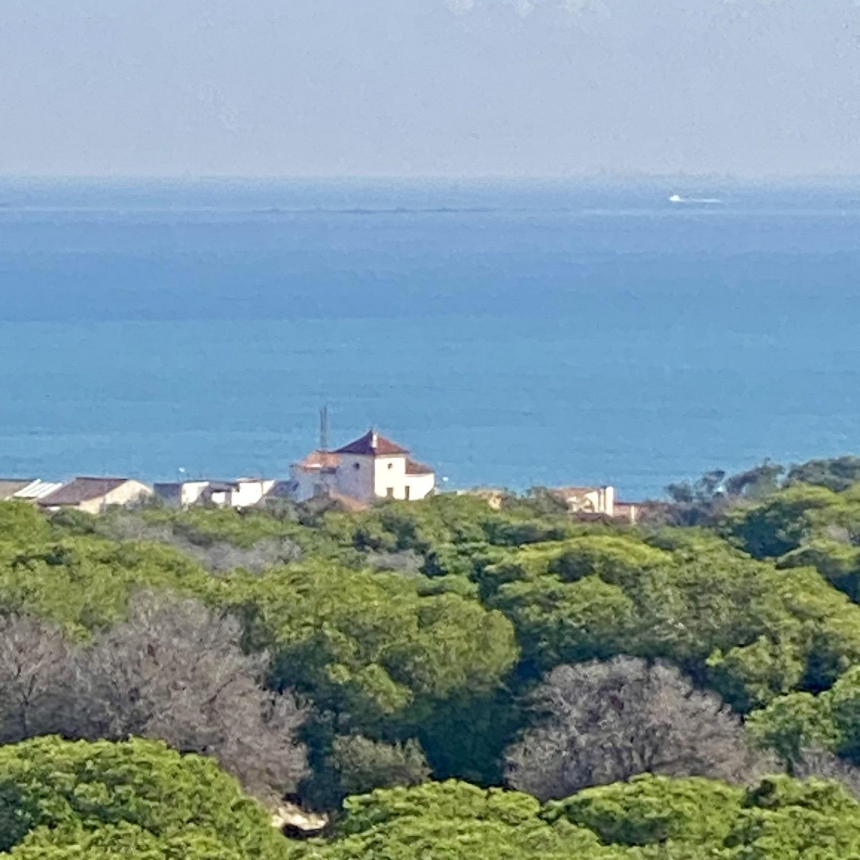 appartement guardamar del segura